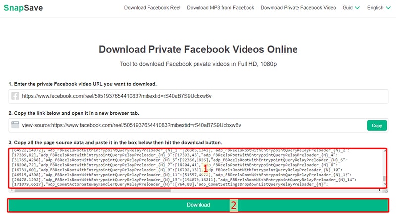 paste source code data into snapsave